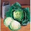 image:imageBurpee Earliana Cabbage Seeds 500 seeds
