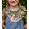 image:imageBurpee Gold Mine Bush Bean Seeds  Productive Bush Bean Variety for Vegetable Garden Growing 2 ozDragons Tongue Bush