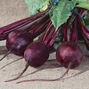 image:imageBurpee Golden Beet Seeds 200 seedsDetroit Dark Red