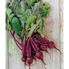 image:imageBurpee Golden Beet Seeds 200 seedsDetroit Dark Red