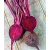 image:imageBurpee Golden Beet Seeds 200 seedsDetroit Dark Red