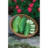image:imageBurpee Hybrid II Slicing Cucumber Seeds 30 seeds