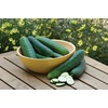 image:imageBurpee Hybrid II Slicing Cucumber Seeds 30 seeds