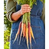 image:imageBurpee Kaleidoscope Blend Carrot Seeds 1500 seedsKaleidoscope Blend Organic
