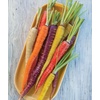 image:imageBurpee Kaleidoscope Blend Carrot Seeds 1500 seedsKaleidoscope Blend Organic