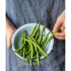 image:imageBurpee Kentucky Blue Pole Bean Seeds 8 ounces of seedKentucky Blue