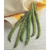 image:imageBurpee Kentucky Blue Pole Bean Seeds 8 ounces of seedKentucky Wonder