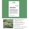 image:imageBurpee Lemongrass Cymbopogon Citratus Herb Seeds  10 MultiSeed Pellets Per Package  NonGMO Seeds for Planting Herbs  Lemongrass Seeds  Easy to Grow Culinary Herb  Bright Citrusy Flavor