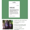 image:imageBurpee Patio Baby Eggplant Seeds 30 seedsPatio Baby Hybrid