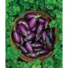 image:imageBurpee Patio Baby Eggplant Seeds 30 seedsPatio Baby Hybrid