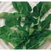 image:imageBurpee Rocket Arugula Seeds 2000 seedsBurpee Rocket Arugula