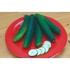 image:imageBurpee Sweet Burpless Slicing Cucumber Seeds 70 seedsBurpless