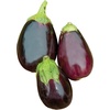 image:imageBurpee Black Beauty Organic Heirloom Eggplant Seeds 50 seedsBlack Beauty Organic Heirloom