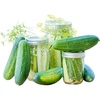 image:imageBurpee Fresh Pickles Pickling Cucumber Seeds 20 seeds20 per packet