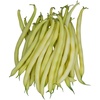 image:imageBurpee Gold Mine Bush Bean Seeds  Productive Bush Bean Variety for Vegetable Garden Growing 2 ozGold Mine Bush
