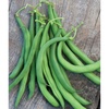 image:imageBurpee Gold Mine Bush Bean Seeds  Productive Bush Bean Variety for Vegetable Garden Growing 2 ozWhite Half Runner Pole