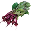 image:imageBurpee Golden Beet Seeds 200 seedsDetroit Dark Red