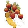 Golden Beet