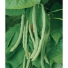 image:imageBurpee Kentucky Blue Pole Bean Seeds 8 ounces of seedKentucky Wonder