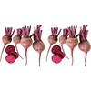 image:imageBurpee Merlin Beet Seeds 300 seeds300 seeds Pack of 2