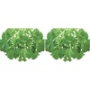 image:imageBurpee Mizuna Mustard Seeds 1000 seeds1000 seeds Pack of 2