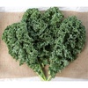 image:imageBurpee Prizm Hybrid Kale Seeds 50 seedsPrizm Hybrid