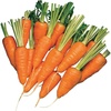 image:imageBurpee Short n Sweet Carrot Seeds 3000 seedsShort n Sweet