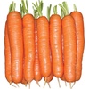 image:imageBurpee Short n Sweet Carrot Seeds 3000 seedsYaya Hybrid