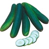 image:imageBurpee Sweet Burpless Slicing Cucumber Seeds 70 seedsBurpless