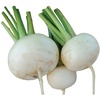 image:imageBurpee Tokyo Cross Turnip Seeds 600 seeds
