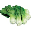 image:imageBurpee Toy Choi Cabbage Seeds 200 seeds