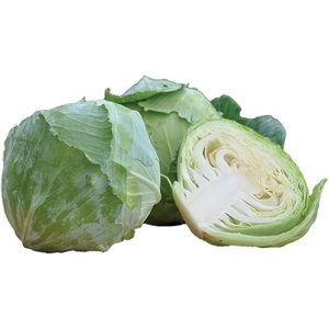 image:imageBurpee Charleston Wakefield Cabbage Seeds 200 seeds