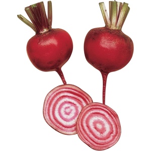 image:imageBurpee Golden Beet Seeds 200 seedsChioggia