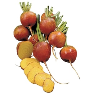 image:imageBurpee Golden Beet Seeds 200 seedsGolden Beet