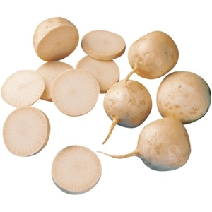 image:imageBurpee Golden Globe Organic Turnip Seeds 2600 seeds
