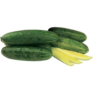 image:imageBurpee Hybrid II Slicing Cucumber Seeds 30 seeds
