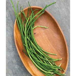 image:imageBurpee Kentucky Blue Pole Bean Seeds 8 ounces of seedGreen