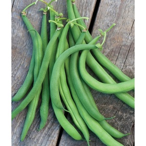 image:imageBurpee Kentucky Blue Pole Bean Seeds 8 ounces of seedWhite Half Runner