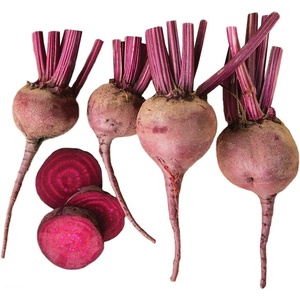 image:imageBurpee Merlin Beet Seeds 300 seeds300 seeds
