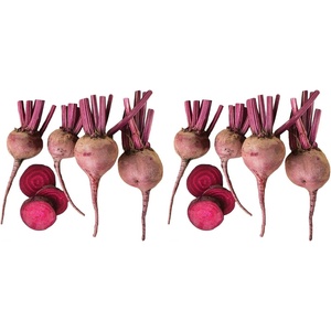 image:imageBurpee Merlin Beet Seeds 300 seeds300 seeds Pack of 2