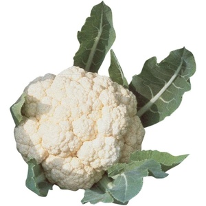 image:imageBurpee Snowball SelfBlanching Cauliflower Seeds 100 seeds