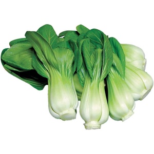 image:imageBurpee Toy Choi Cabbage Seeds 200 seeds