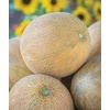 image:imageBurpee Ambrosia Cantaloupe Melon Seeds  Sweet Juicy Orange Flesh Melon for Backyard Gardens 30 SeedsAmbrosia