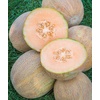 image:imageBurpee Ambrosia Cantaloupe Melon Seeds  Sweet Juicy Orange Flesh Melon for Backyard Gardens 30 SeedsAmbrosia