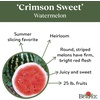 image:imageBurpee Ambrosia Cantaloupe Melon Seeds  Sweet Juicy Orange Flesh Melon for Backyard Gardens 30 SeedsCrimson Sweet