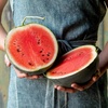 image:imageBurpee Bush Sugar Baby Watermelon Seeds  Compact Variety for Small Spaces
