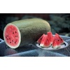 image:imageBurpee Charleston Gray Heirloom Watermelon Seeds 50 seeds