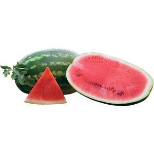 image:imageBurpee Allsweet Organic Watermelon Seeds 100 seeds
