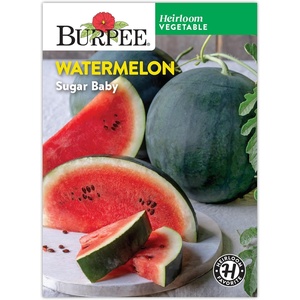 image:imageBurpee Sugar Baby Watermelon Seeds  Classic Icebox Melon