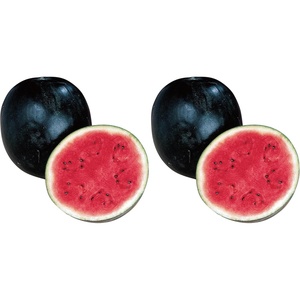 image:imageBurpee Sugar Baby Watermelon Seeds 75 Seeds Pack of 275 seeds Pack of 2